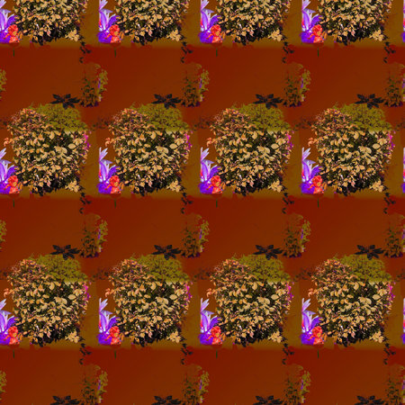 Shapes and Patterns