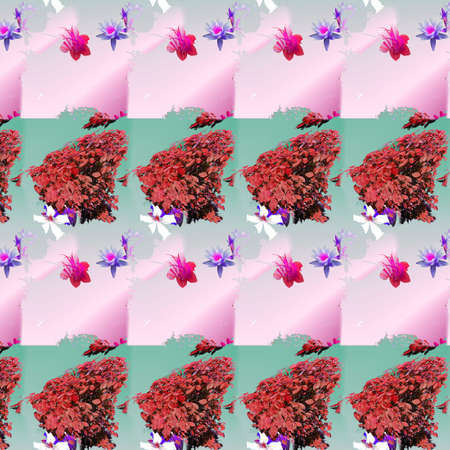 Shapes and Patternsの写真素材