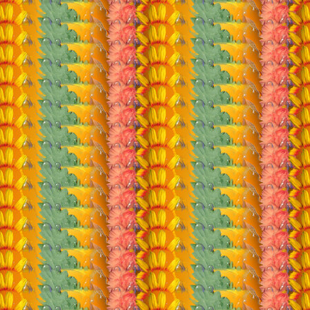 Shapes and Patterns
