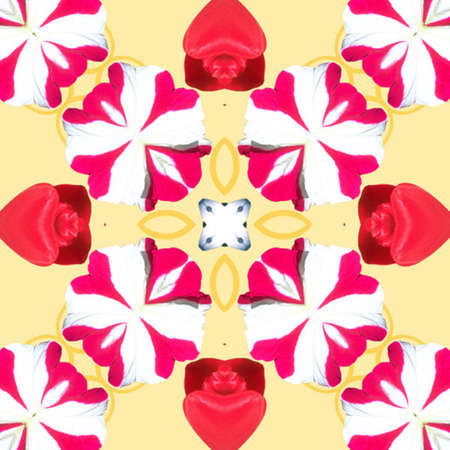 Floral Backgroundの写真素材