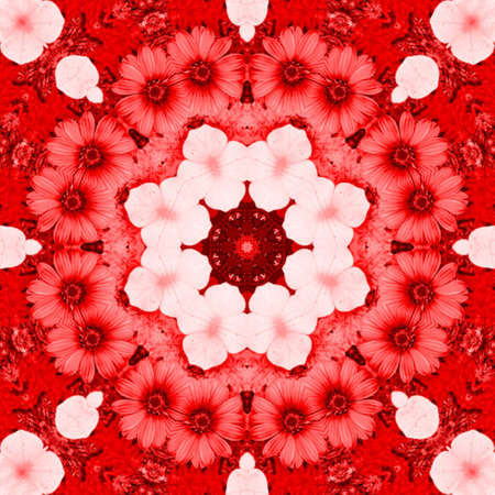 Floral Backgroundの写真素材
