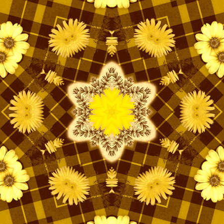 Floral Patternsの写真素材