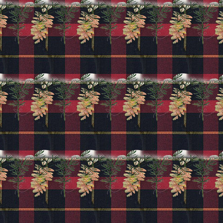 Floral Patternsの写真素材