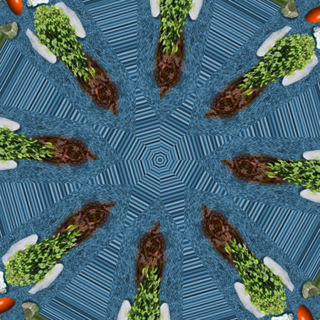 Background Patternsの写真素材