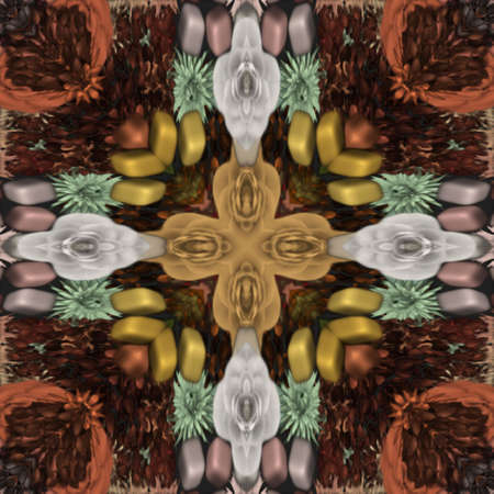 Abstract Patterns and Shapesの写真素材