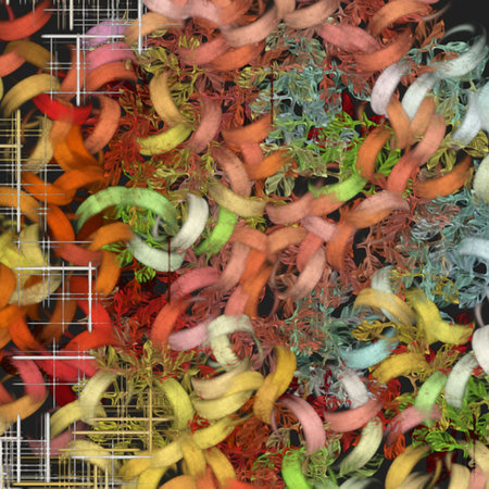Abstract Patterns and Shapes