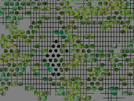 Abstract Patterns