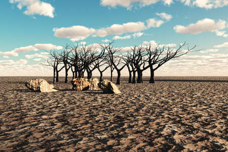 Very dry land with dead trees and stones in the distance.の写真素材