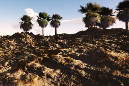 Rough desert sand with palm trees on top of hill.の写真素材
