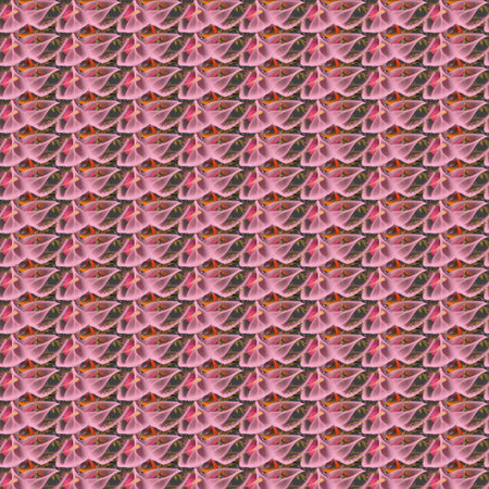 Retro Patterns