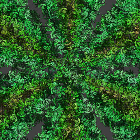 Abstract Background Patternsの写真素材