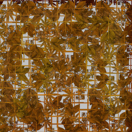 Modern Art Designの写真素材