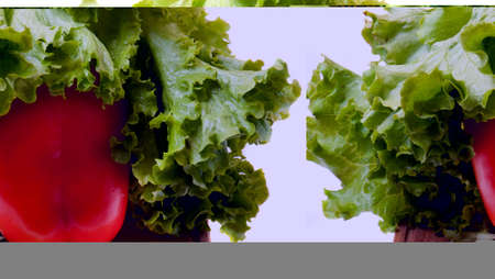 Modern Retro Design Backgroundの写真素材