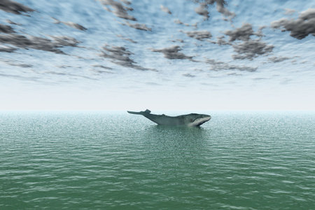 A solitary whale out at sea against a cloudy sky.の写真素材