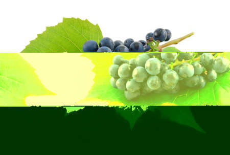 Retro Modernの写真素材