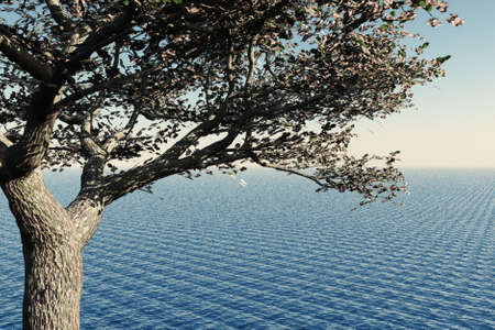 Vibrant blooming cherry tree against the background of the sea.の写真素材