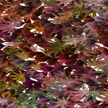 Modern Art Abstractの写真素材