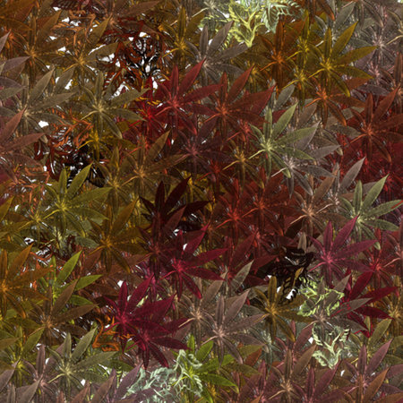 Modern Art Abstractの写真素材