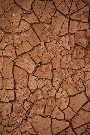 Dry, Cracked Soil with No life Remainingの写真素材