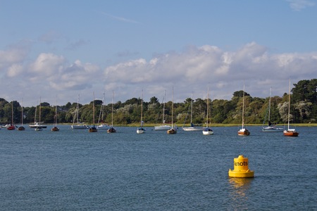 Line of Moored Sailboats with Shoreline in Background with Speed Limit Bouyの写真素材