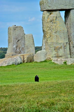 Rook in Front of the Rocks of Stonehenge On a Cloudy Summer Dayの写真素材
