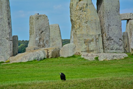 Rook in Front of the Rocks of Stonehenge On a Cloudy Summer Dayの写真素材