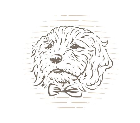 Cute cockapoo dog puppy with bow-tie vector illustration on white background.のイラスト素材