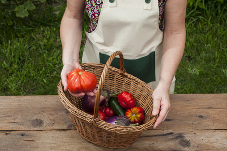 Person showing basket with vegetablesの写真素材