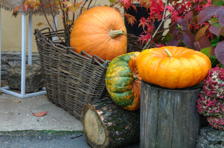 zucchini pumpkins in a basket on a chock autumn layout halloween conceptの写真素材