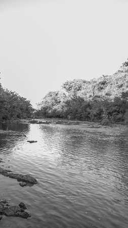 the beautiful nature in a calm afternoon between the mountains and the sunset observing the plants, flowers and landscapesの写真素材