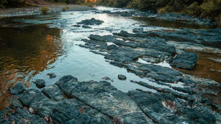 the beautiful nature in a calm afternoon between the mountains and the sunset observing the plants, flowers and landscapesの写真素材
