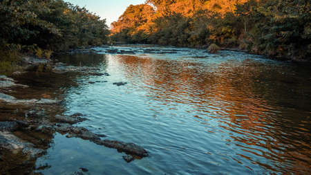 the beautiful nature in a calm afternoon between the mountains and the sunset observing the plants, flowers and landscapesの写真素材