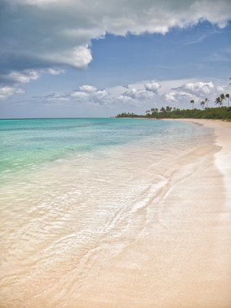 Beach day on vacation saona islandの写真素材