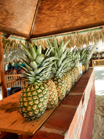 stones thrown in the fieldの写真素材