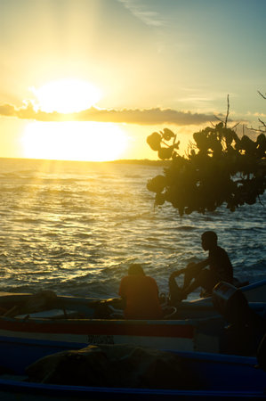 Beautiful yellow sunset at caleta de la romana beach dominican republic showing the silhouettes of plants and peopleの写真素材