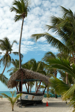 Tropical beach with palm trees and bungalows in Cubaの写真素材