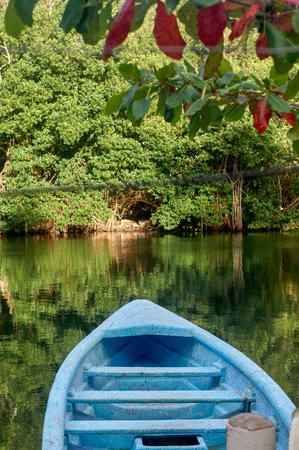 Blue boat on the lake with trees and bushes in the background.の写真素材
