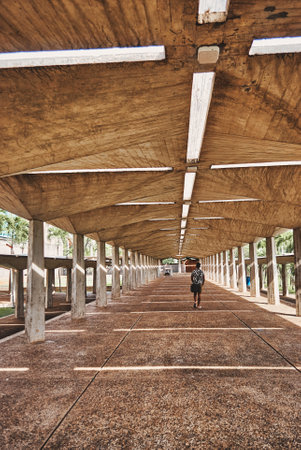 Rear view of woman standing under a wooden bridge in the parkの写真素材