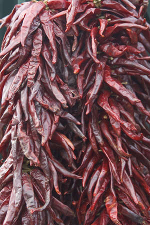 Dried red chillies on displayの写真素材