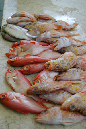 Fresh fish on a fishmonger's slab