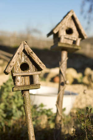 Two wooden bird houses in sunshine, one in focus, one out.の写真素材
