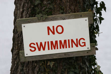A no swimming sign nailed to a tree by a lakeの写真素材