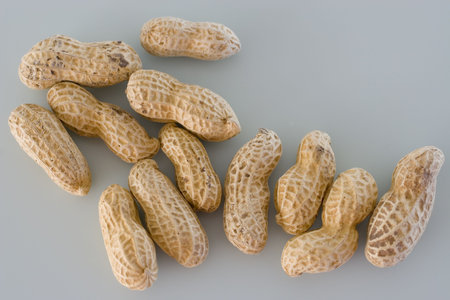 Twelve peanuts in their shells