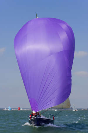 A yachts racing with purple spinnaker raised and full of wind.の写真素材