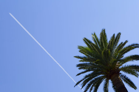 An airliner leaves a vapor trail across a deep blue tropical sky as it flies high over a palm tree.の写真素材