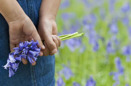 Shot of a little girl holding a bunch of blue bells behind her back, shot against an out of focus background of a bluebell wood.の写真素材