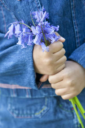 Shot of a little girl's hands holding a bunch of blue bells.の写真素材