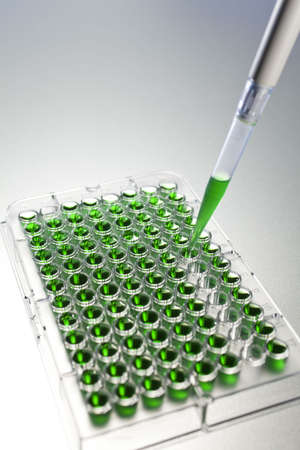 Environmental concept shot of a scientist in a laboratory creating samples of a green solution with a pipette and 96 well cell plate, The focus is on he end of the pipette dropper.の写真素材