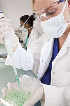 Environmental concept shot of a female medical or scientific researcher or doctor using a pipette and looking at a sample tray of a green solution in a laboratory with her Asian female colleague out of focus behind her.の写真素材