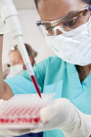 A female Asian medical or scientific researcher or doctor using a pipette and sample tray to test blood sample in a laboratory with her blond female colleague out of focus behind her.の写真素材